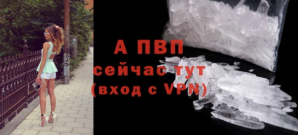 экстази Богданович