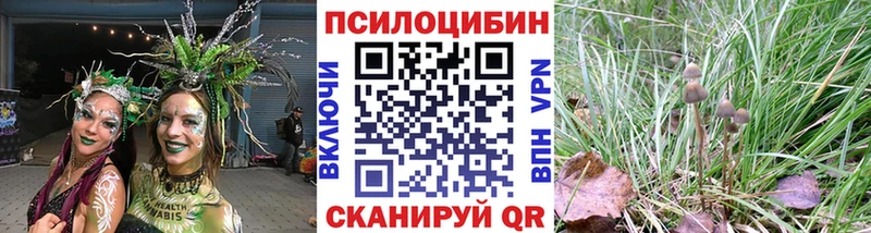 darknet Telegram Богородицк Псилоцибиновые грибы GOLDEN TEACHER купить сайты